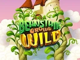 Beanstalk Grows Wild